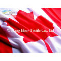 100 % polyester National Flags/Polyester imprimé drapeaux nationaux de différents pays